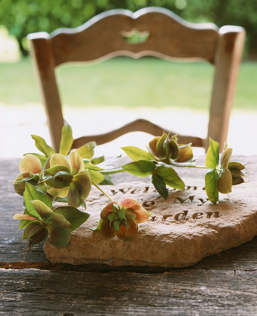 A welcome stone with flowers in a garden