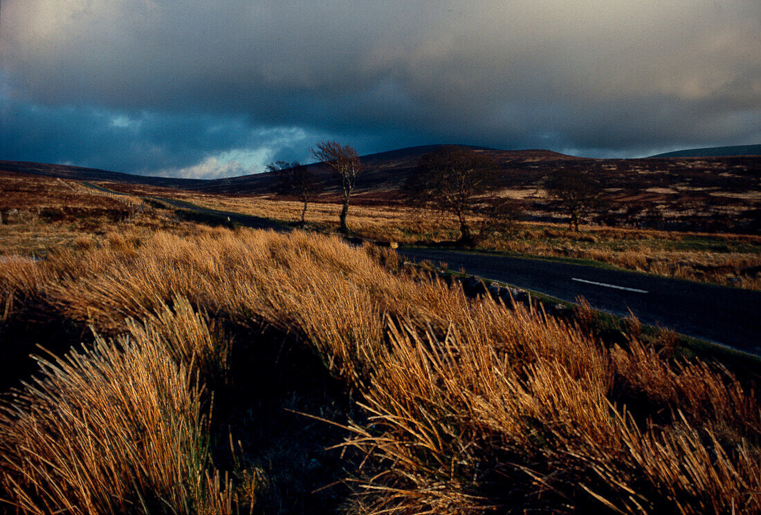 Wicklow Mountains Irland