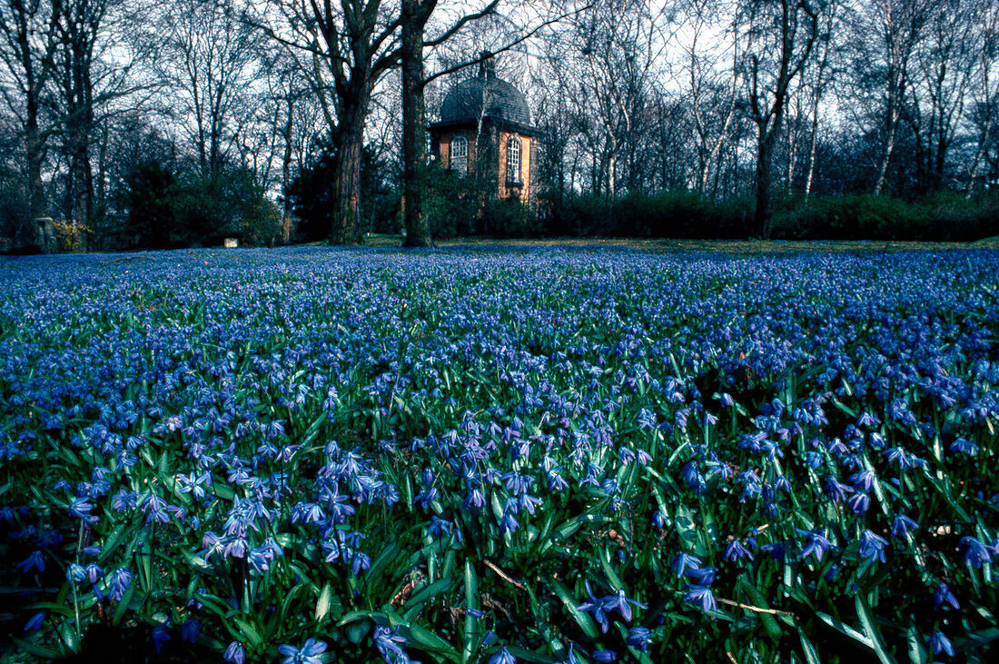 Hyacinthen Park