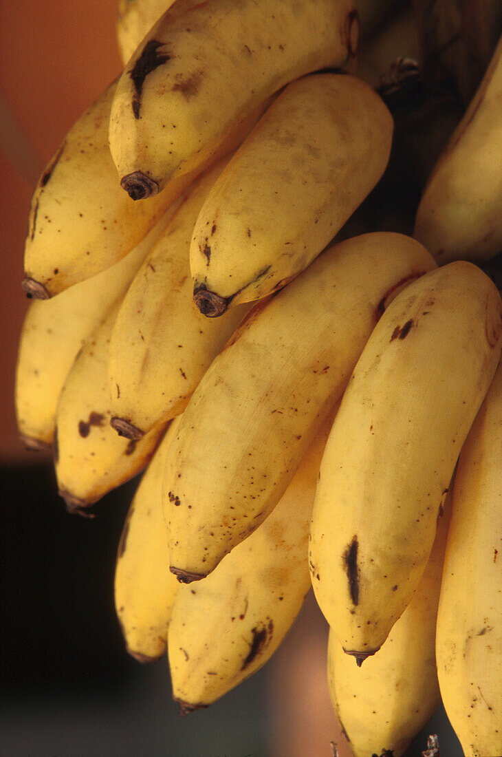 Bunch of bananas, Venezuela, South America