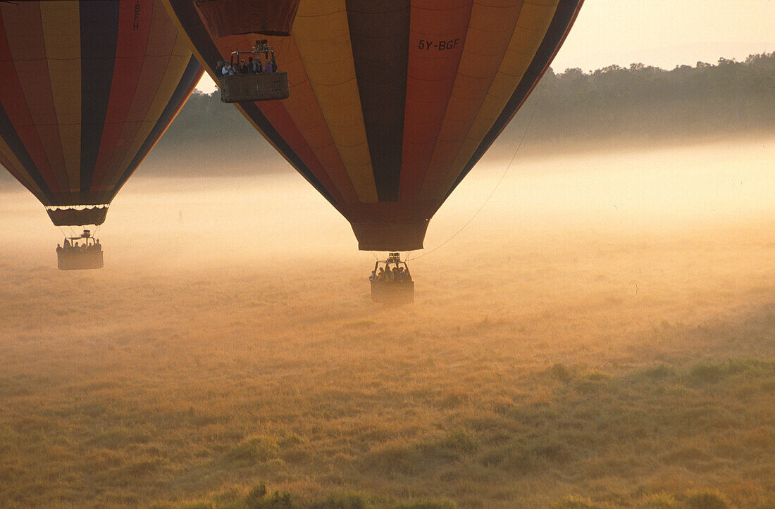 Balloon Safari, start in the morning, Massai Mara National Park, Kenia, Africa