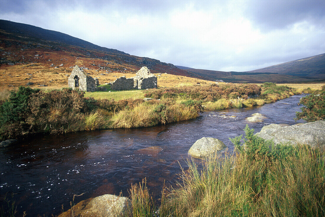 Wicklow Mountains County Wicklow, Irland