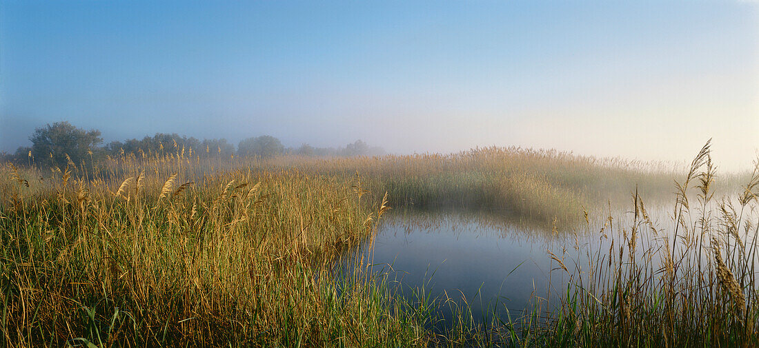 Laguna de Mazegar, Lagune, Neu-Kastilien, Kastilien-La Mancha, Kastilien, Spanien