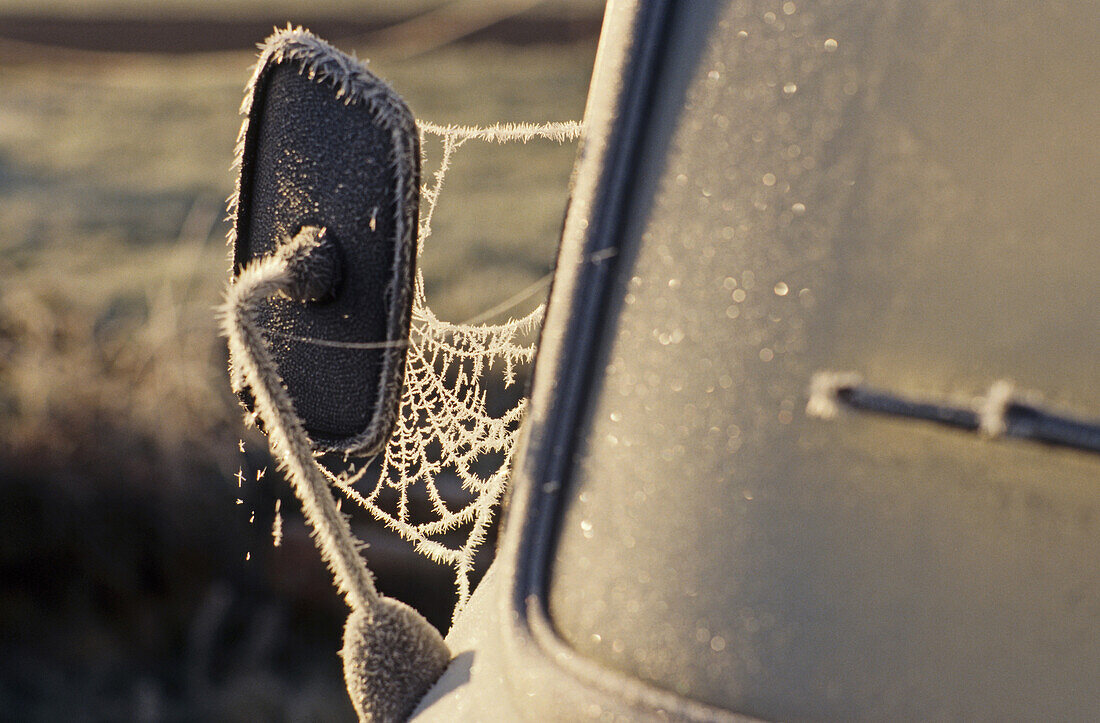 hoar frost on abandoned car side mirror and window
