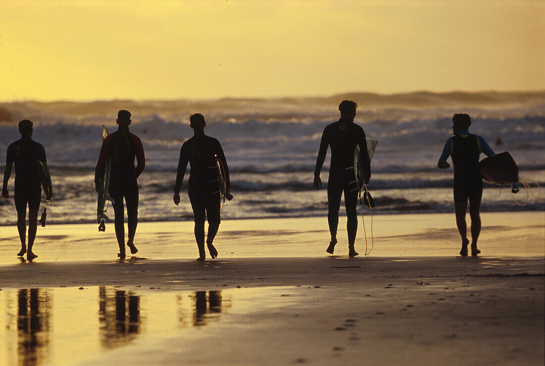 Piha Beach Nordinsel, Neuseeland