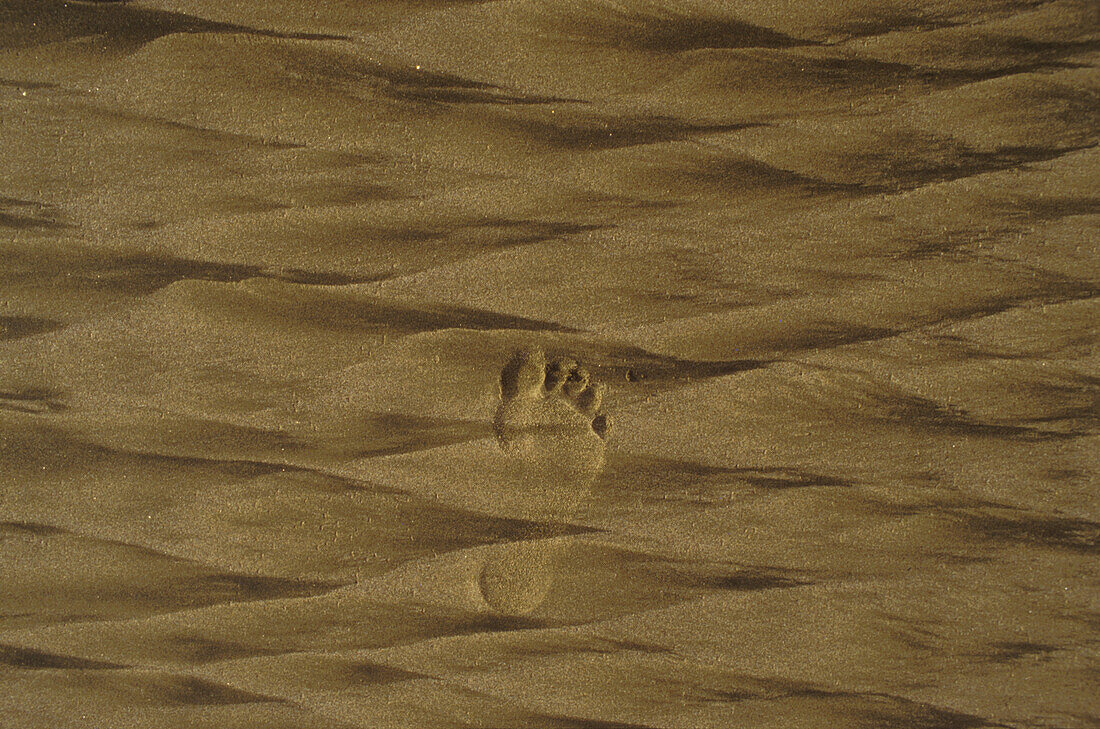 Footprint in sand, beach, New Zealand