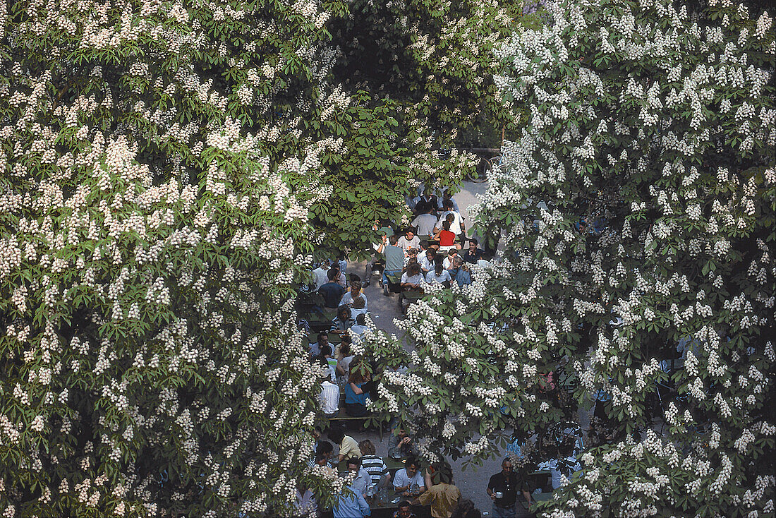 Biergarten, Chinesischer Turm, Englischer Garten München, Deutschland