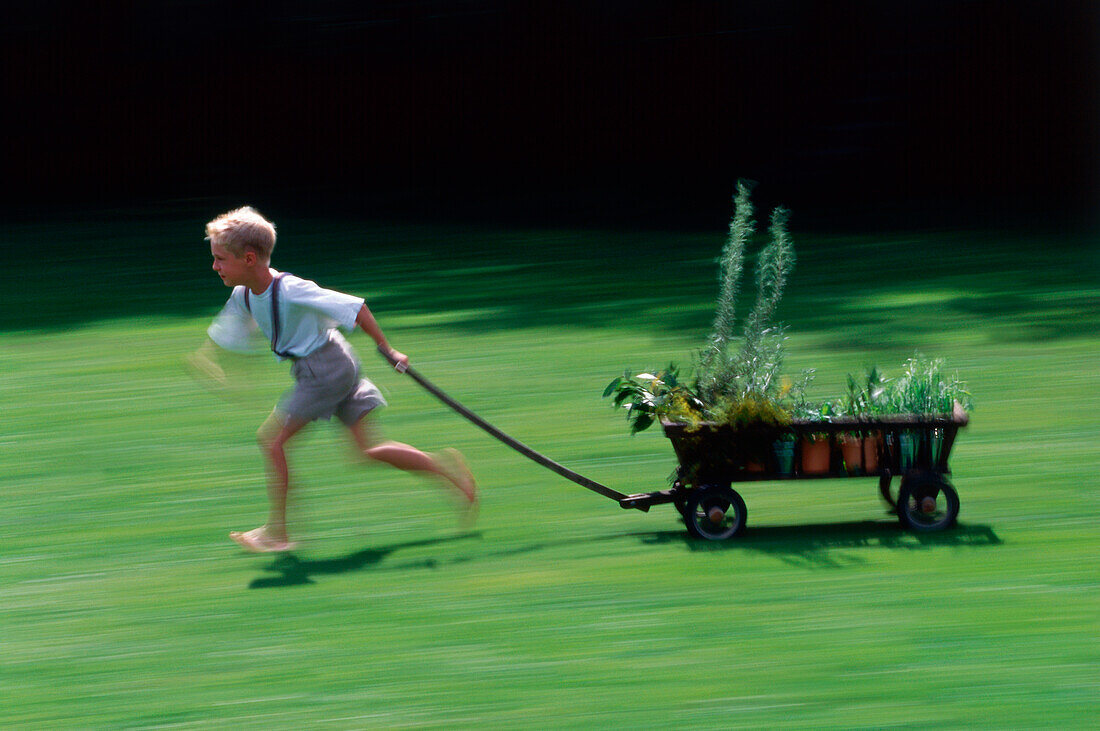 Boy, 9 Years, with old wodden push cart