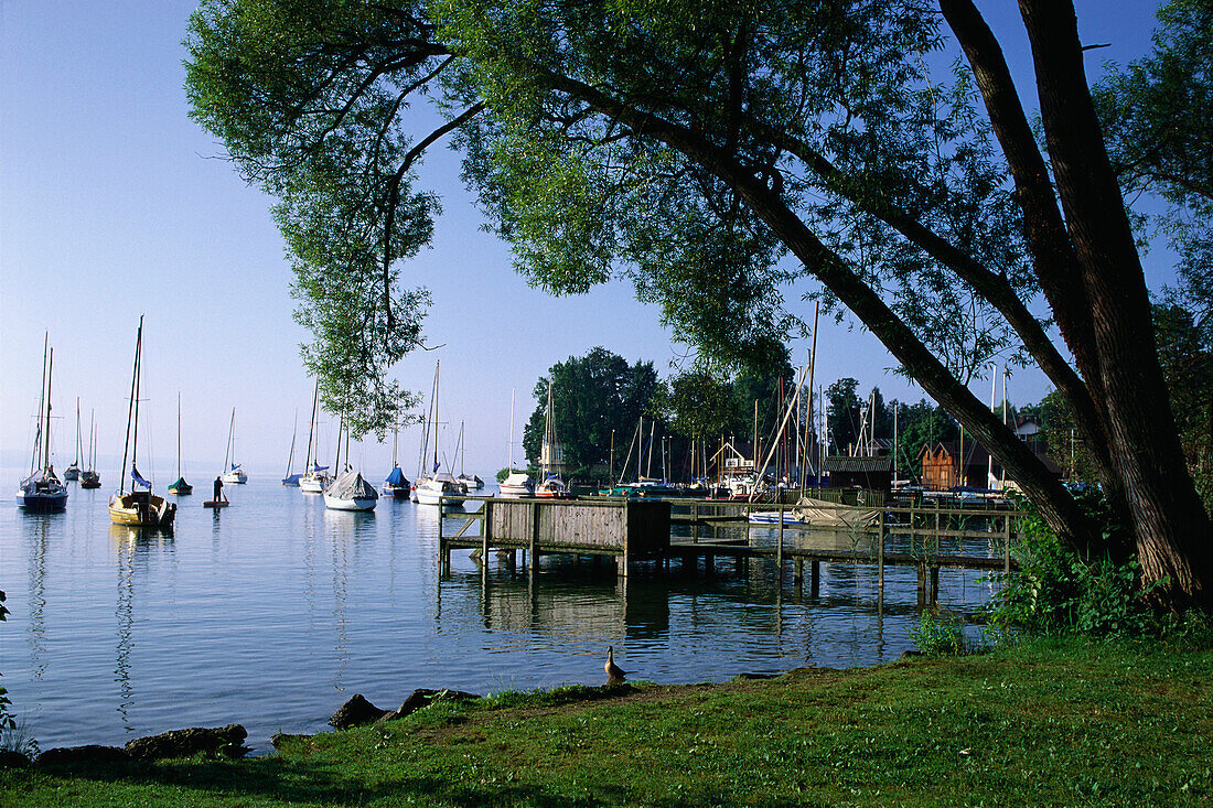 Starnberger See, Segelboote, Oberbayern, Deutschland