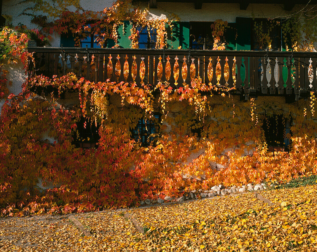 Herbstliche Fassade, Holzhausen, Ammersee, Oberbayern Bayern, Deutschland Ammersee, Oberbayern Bayern, Deutschland Ammersee, Oberbayern Bayern, Deutschland