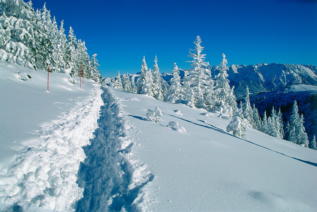 Path trough winter scenery before Wank.Mtn., Garmisch-Partenkirchen, Upper Bavaria, Germany