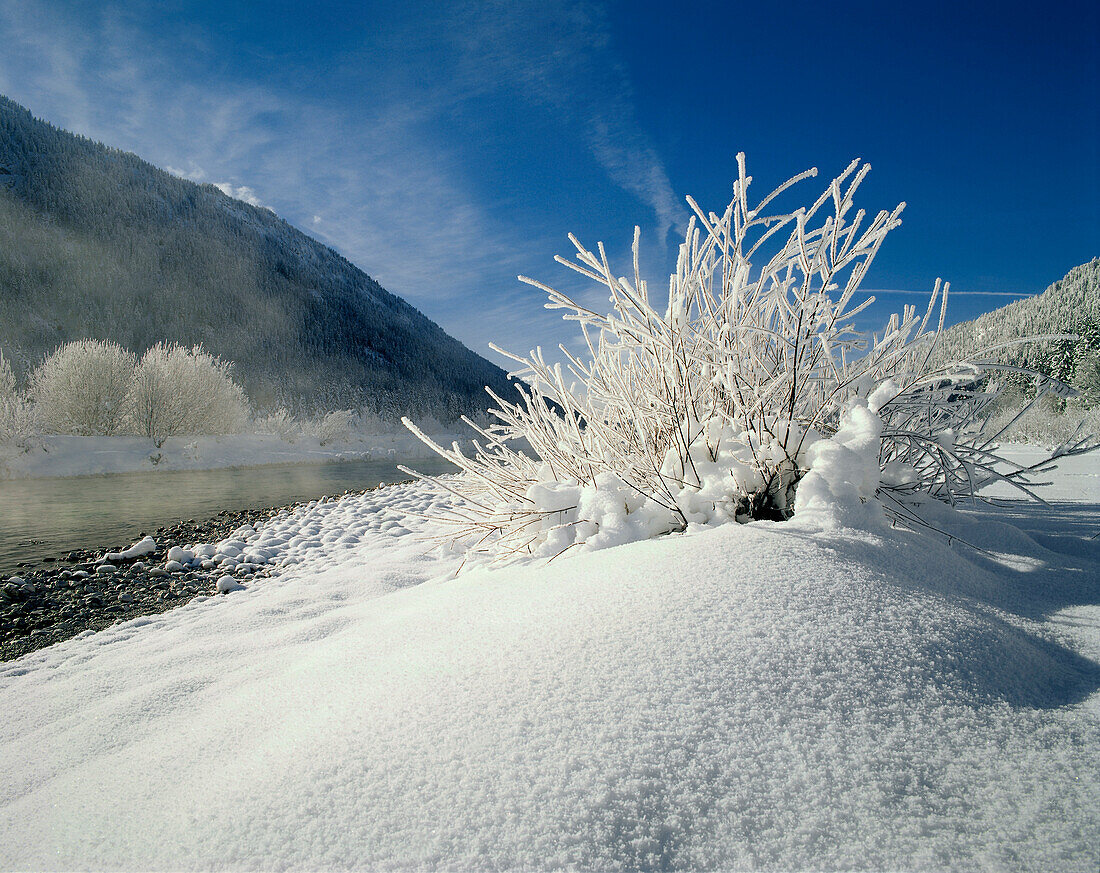 Isar near Vorderriss, Winter landscape, Werdenfelser Land, Upper Bavaria, Germany