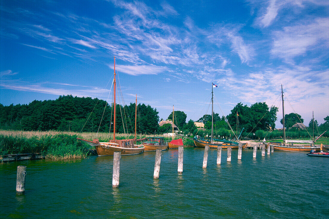 Harbour, Wieck, Bodden, Darss, Germany