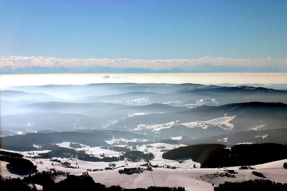 Winter in Black Forest, Black Forest, Germany