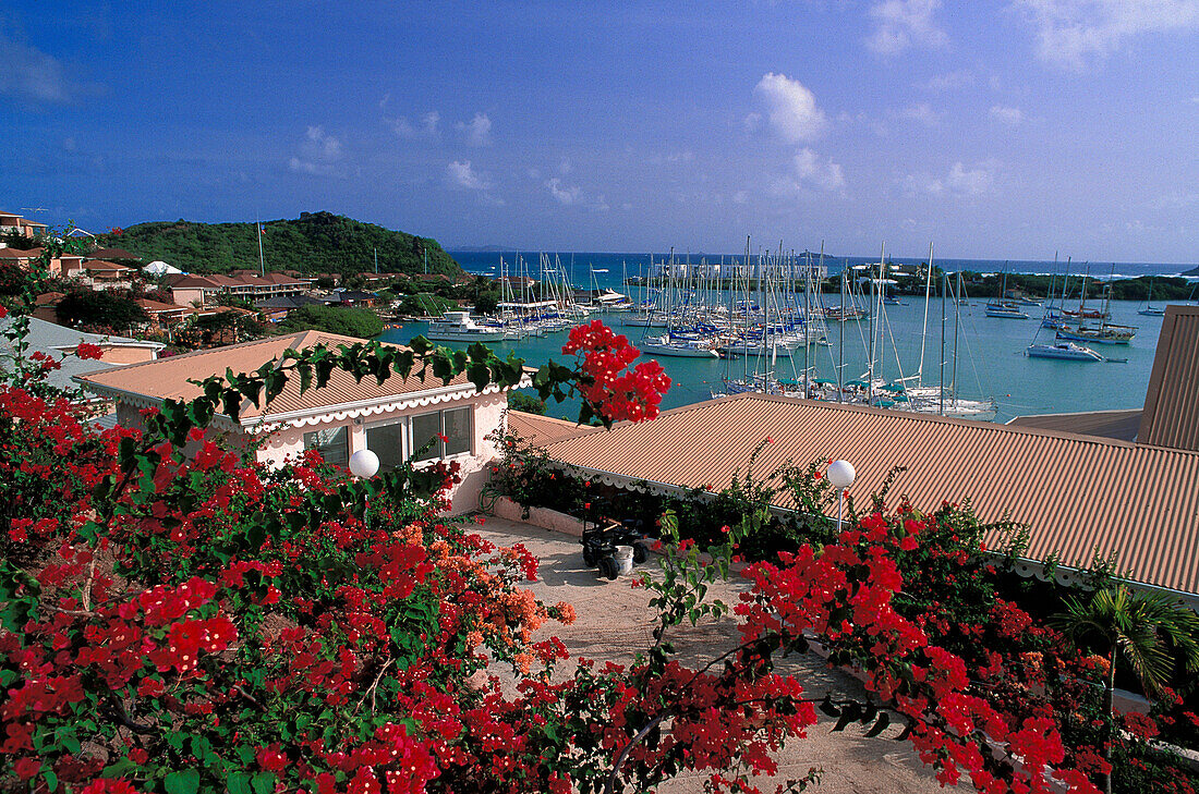 Häuser an der Küste und Segelboote im Hafen, St. Maarten, Saint Martin, Karibik, Amerika