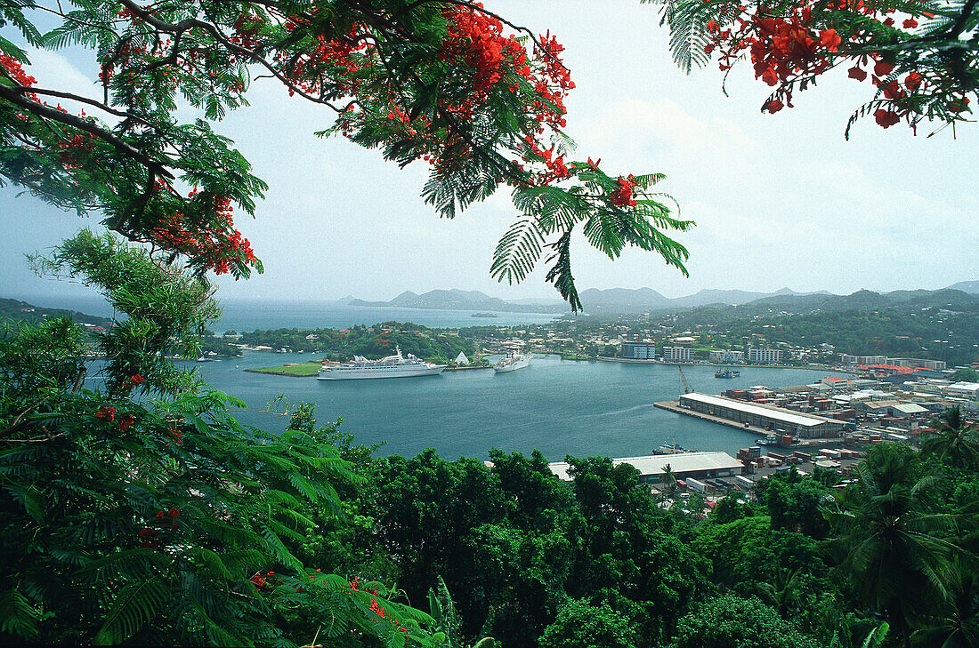 Harbour of Castries, St. Lucia