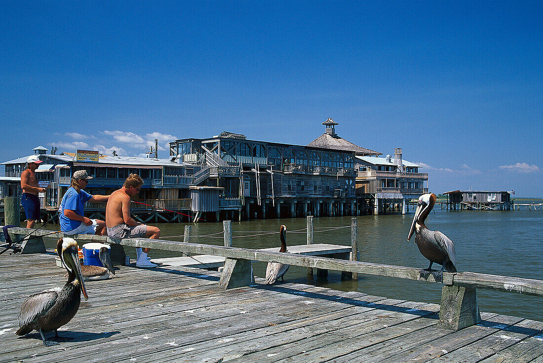 Fishing at the pier, Cedar Key Florida, USA