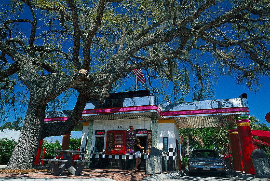 Big tree and Drive In restaurant under blue sky, Panama City Beach, Florida, USA, America
