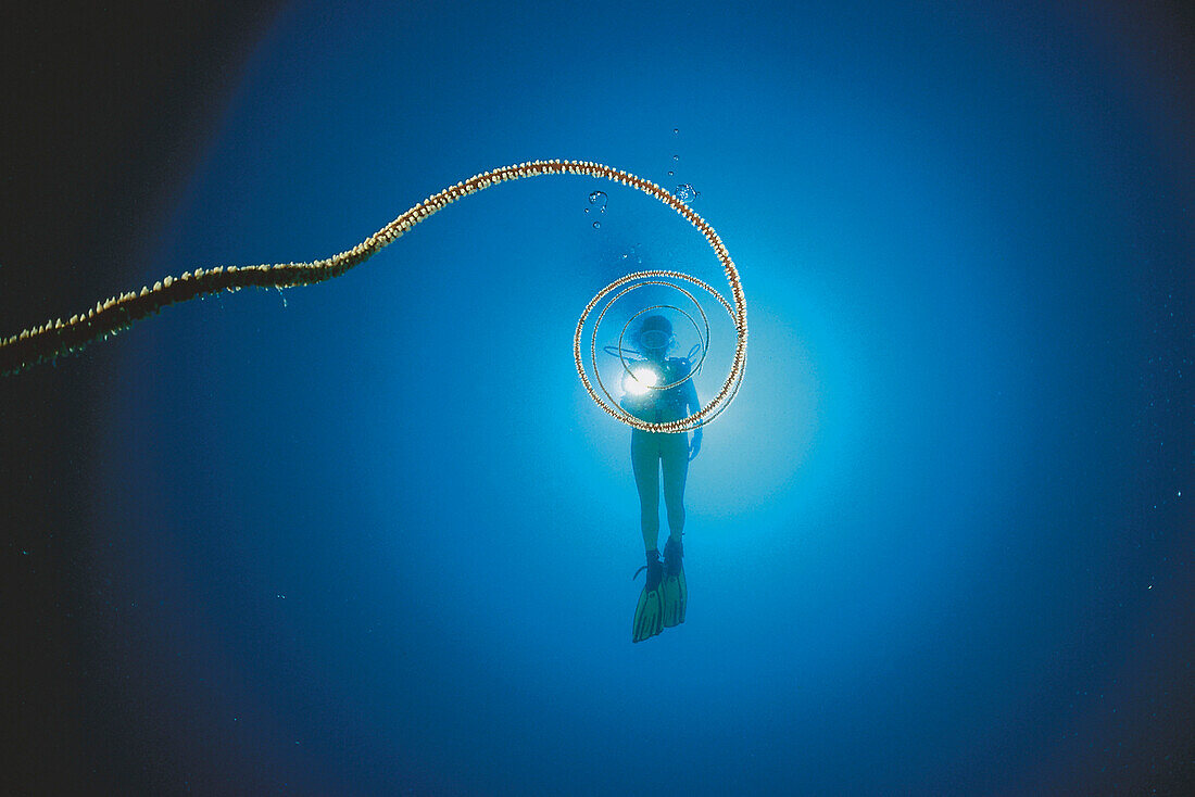 Spiral wire coral and scuba diver, Cirripathes spiralis, Maldives Island, Indian Ocean, Ari Atol, Maayafushi