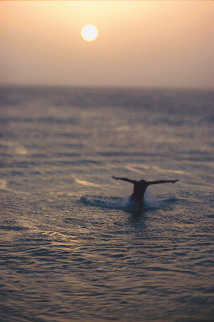Swimmer in the sunset, Cape Verde