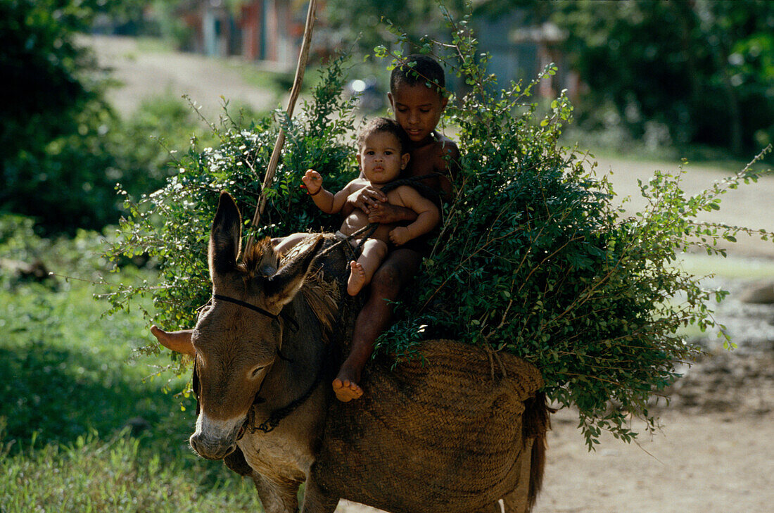Kinder auf einem Esel, El Seibo, Dominikanische Republik Karibik