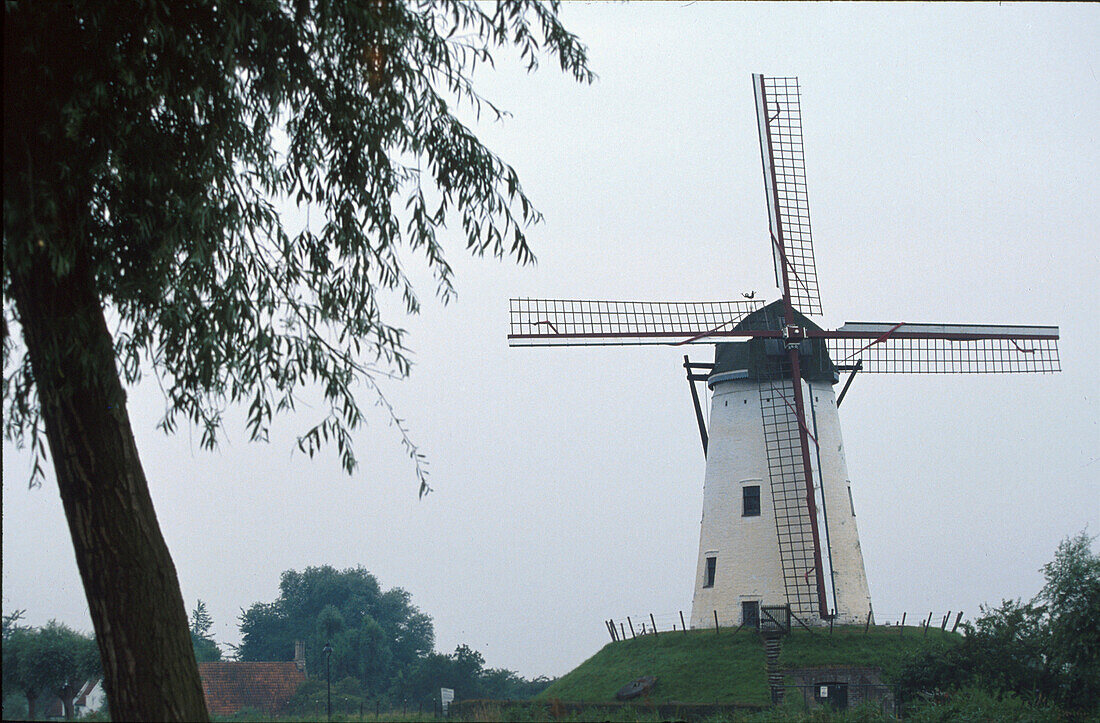 Windmühle, Damme, Flandern Belgien