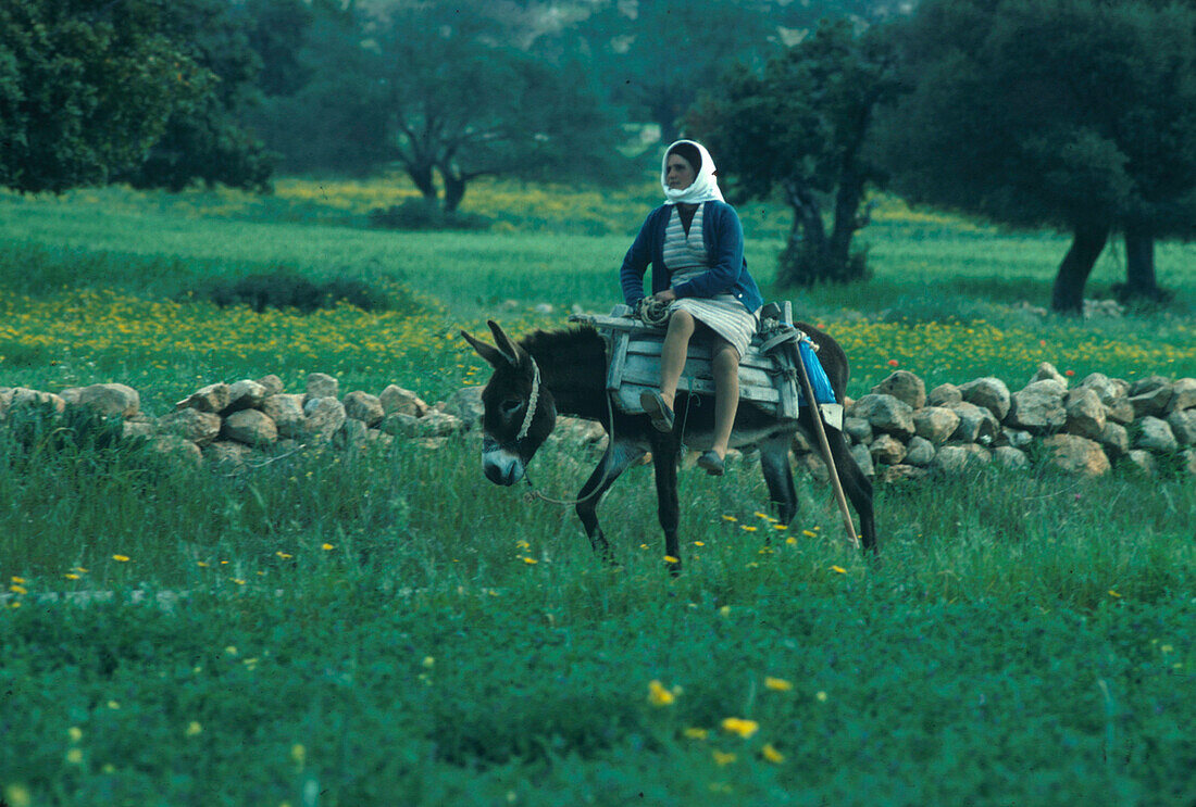 Bäuerin auf Esel, Troodos Berge Zypern