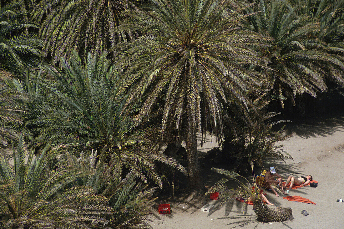 Palmenstrand, Vai, Kreta Griechenland