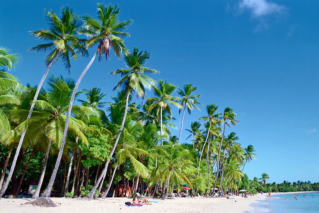 Beachlife, Pointe de Salines, Martinique, Caribbean