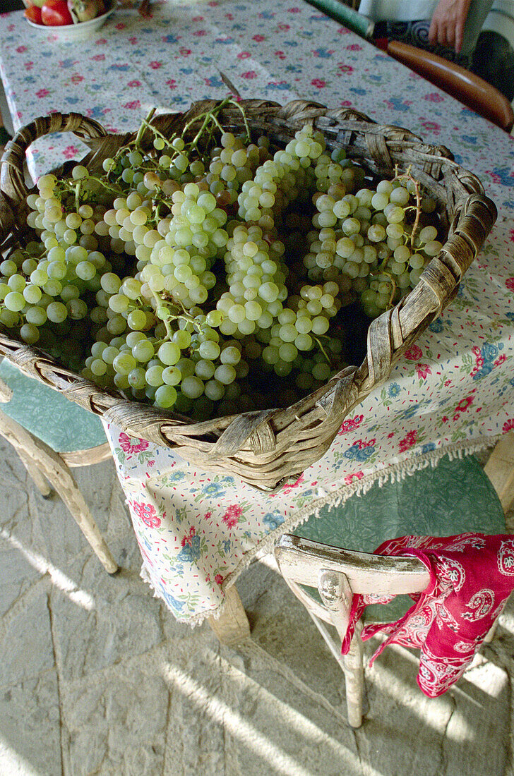 Basket with Grapes, Cinque Terre, Liguria Italy, Europe