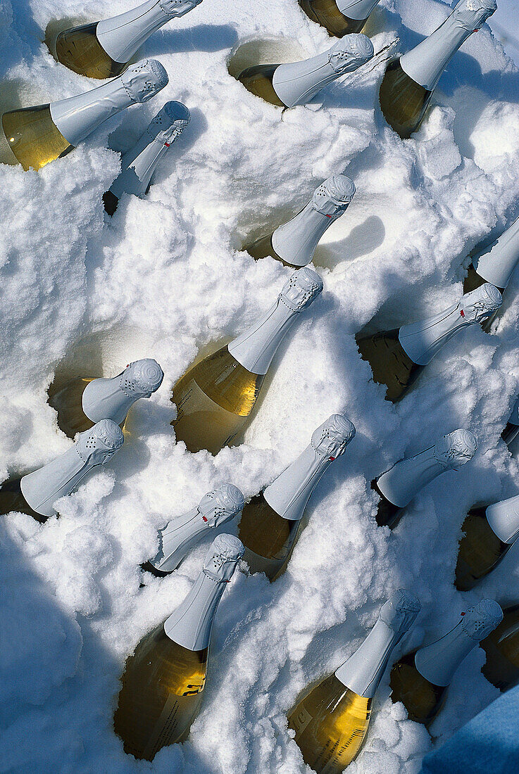 Champangnerflaschen im Schnee, Rüfikopf bei Lech, Arlberg, Tirol, Österreich, Europa