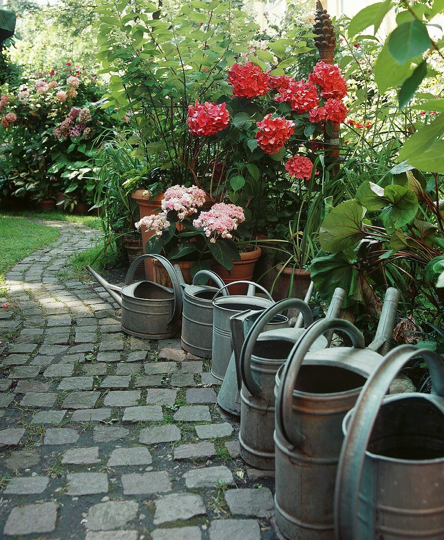 Giesskannen am Gartenweg