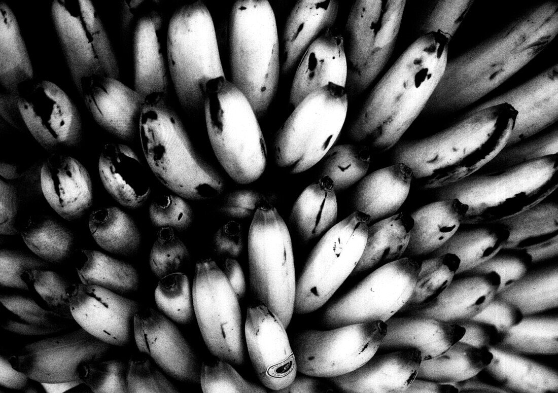 Bananen, Stillife – License image – 70003629 lookphotos