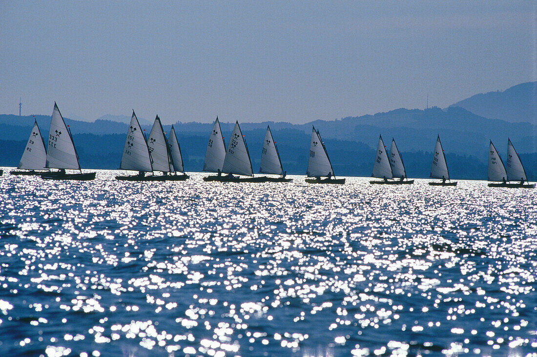 Sailing regatta on Lake Chiemsee, Bavaria, Germany