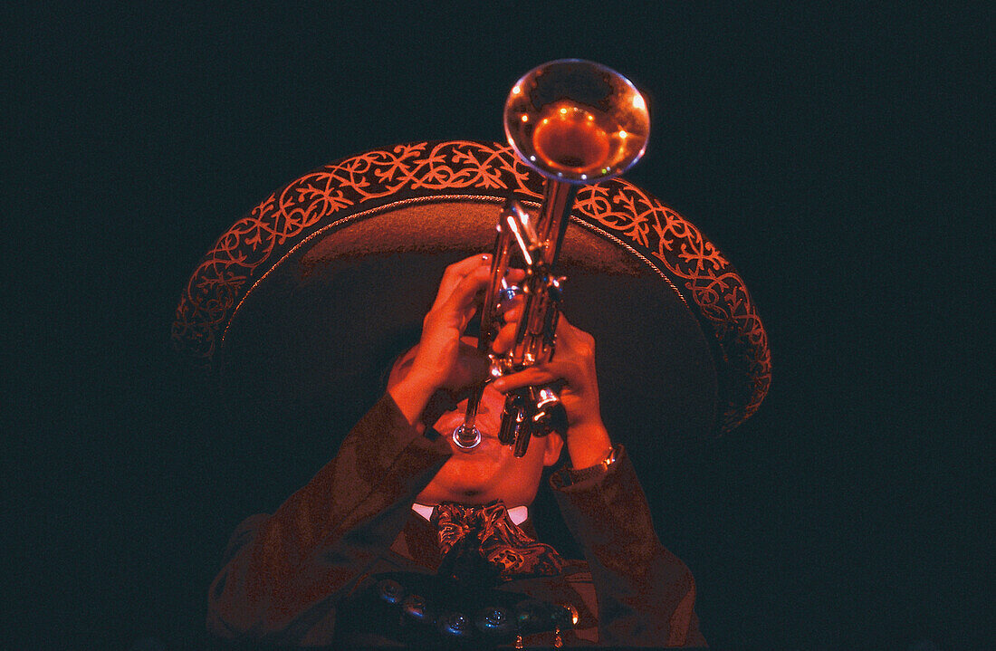 Trompeter, Cancun Yucatan, Mexiko
