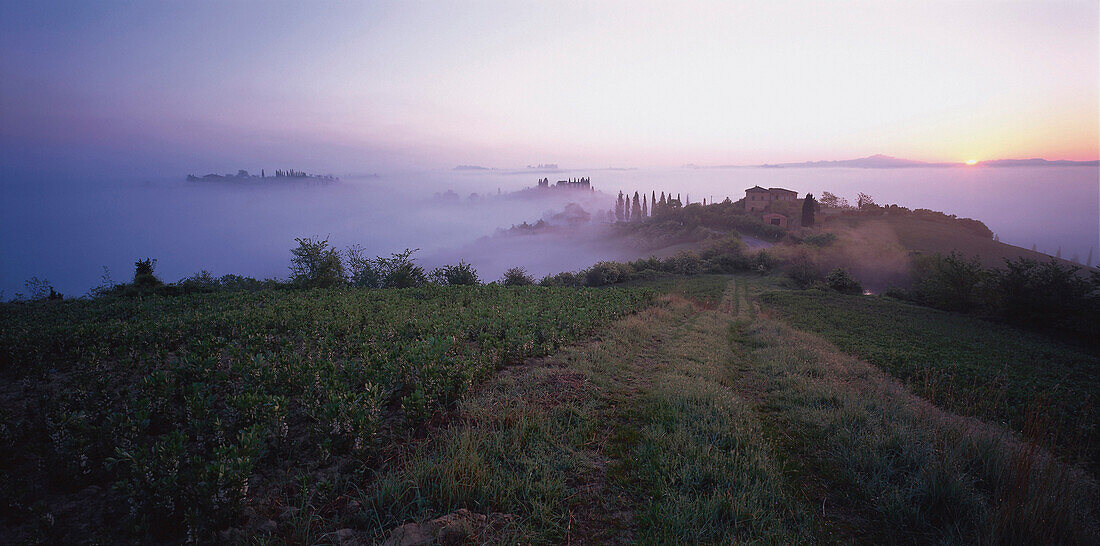 Idyllische Landschaft im Morgennebel, Toskana, Italien