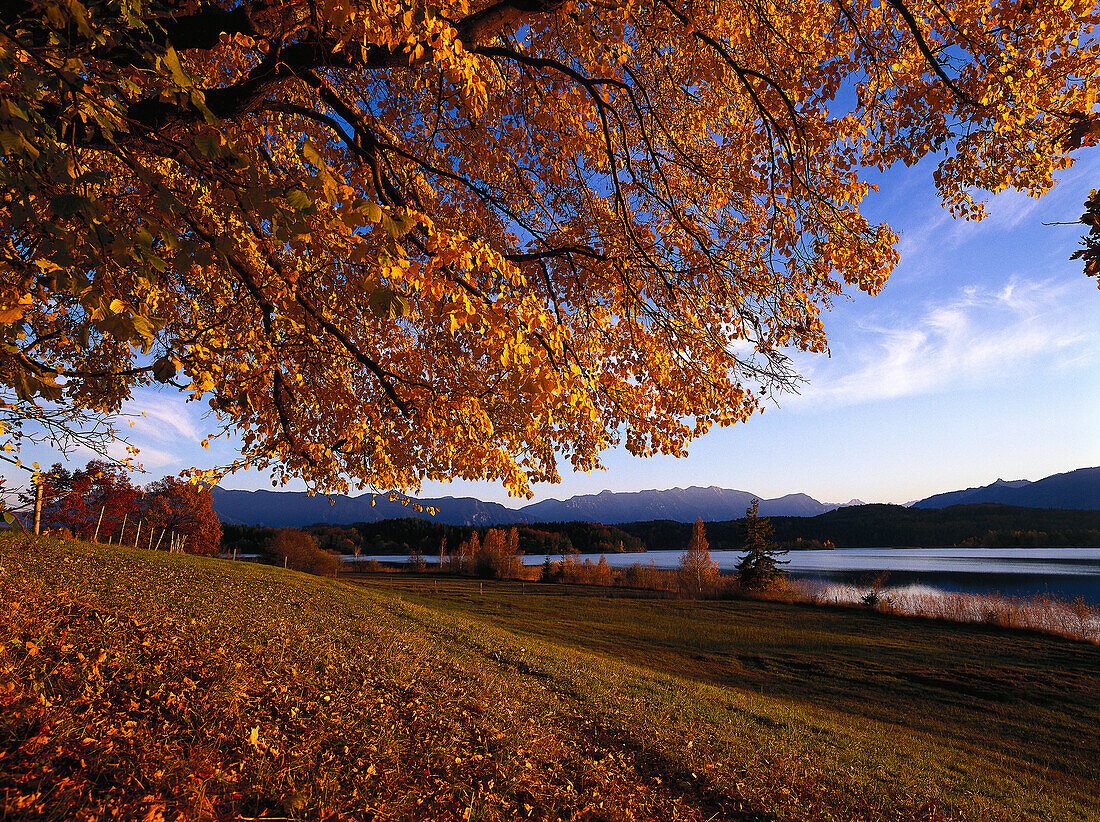 Staffelsee, Oberbayern, Deutschland