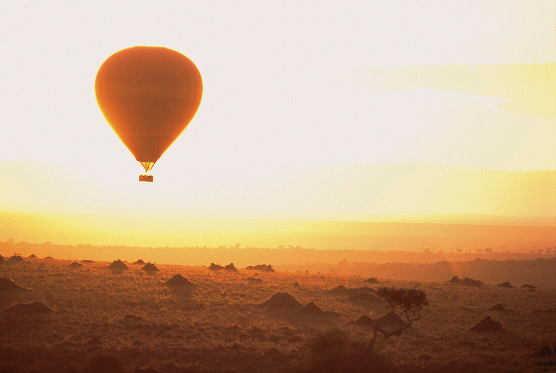 Hot air balloon above Masai Mara National Reserve at sunset, Kenia, Africa