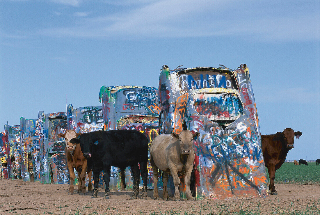 Cadillac Ranch, Amarillo, Texas USA