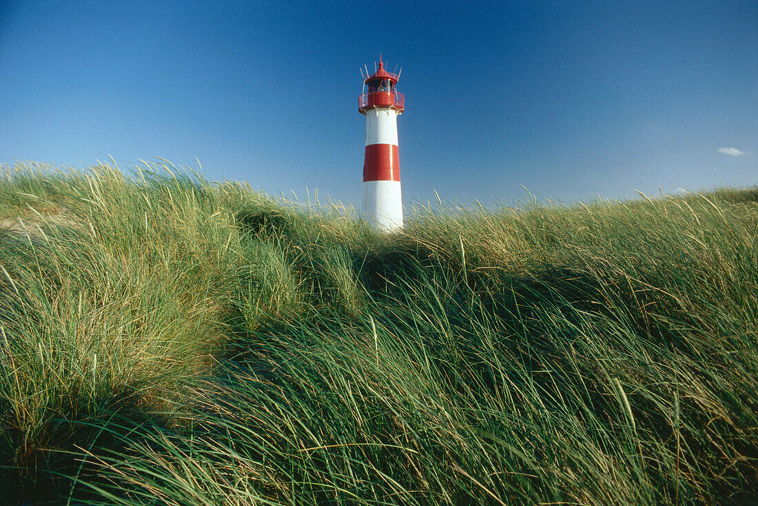 Lighthouse between marram grass, North Sea