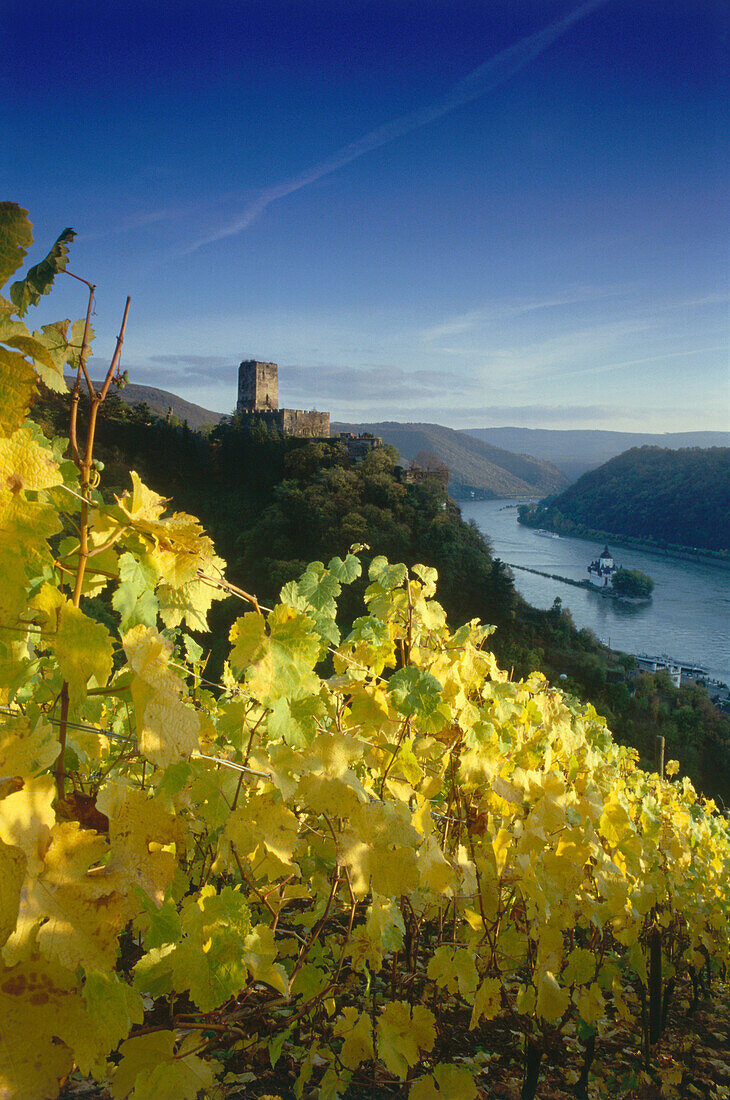 Burg Gutenfels, Rheinland Pfalz, Deutschland