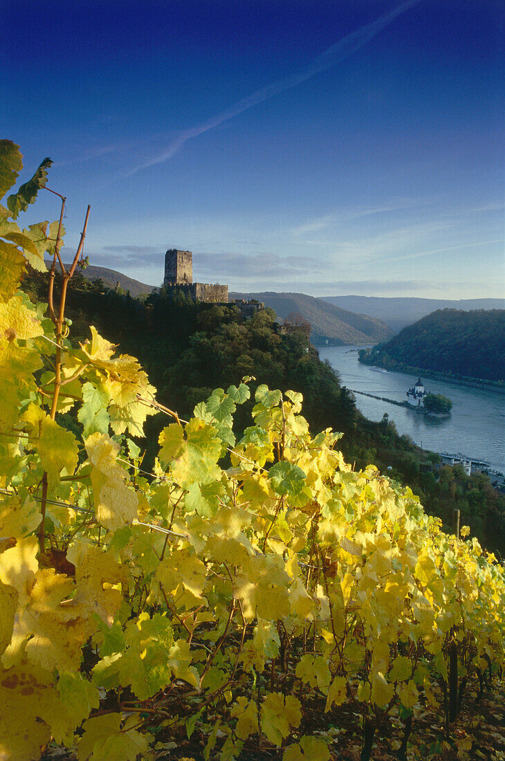 View on Castle Gutenfels, Rhineland-Palatinate, Germany