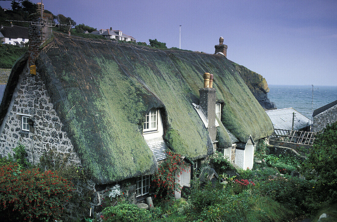 Reetdachhaus an der Küste, Cadgwith, The Lizard, Cornwall, England, Großbritannien, Europa