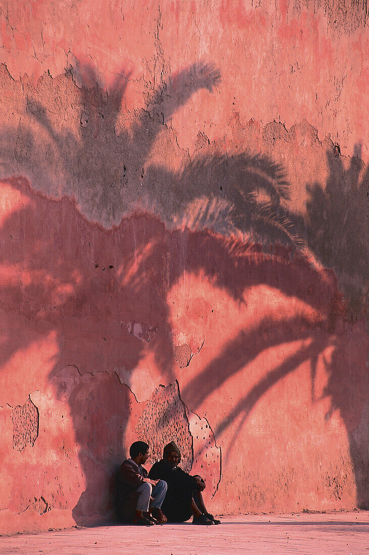 Palmenschatten an der Stadtmauer, Essaouira, Marokko