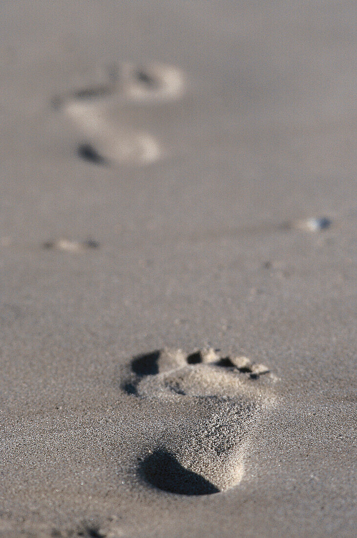 Foot prints in sand, Island Sylt, Schleswig-Holstein, Germany