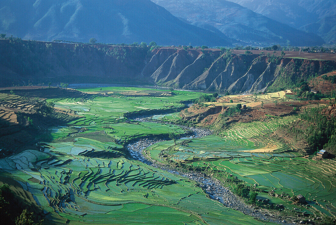Blick auf Reisterrassen im Trisuli Tal, Nepal, Asien
