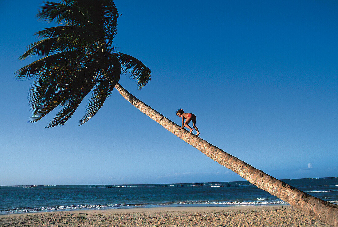 Girl on a palm tree on the beach, Dominican Republic, Caribbean