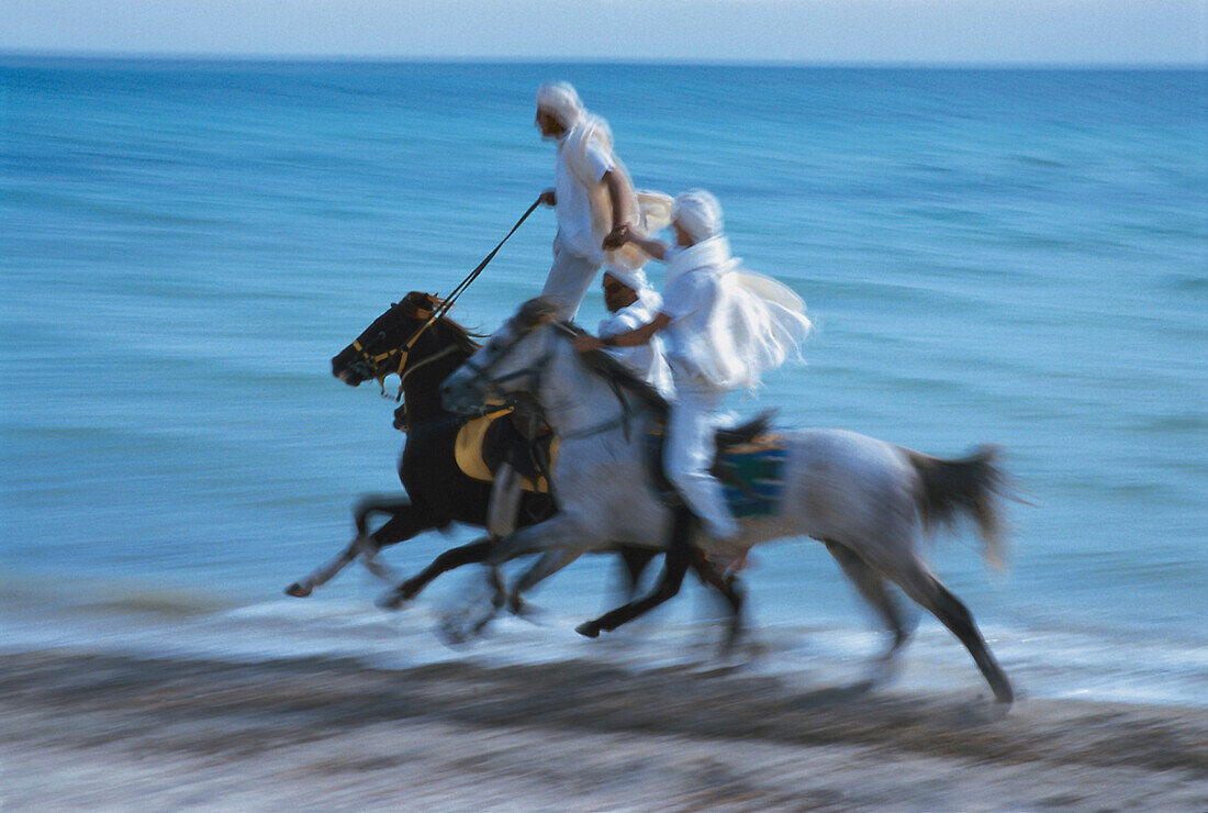 Gallopping horses at the beach, Djerba, Tunesia