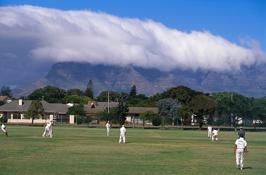 Cricket games at Table Mountain, Cape Town South Africa