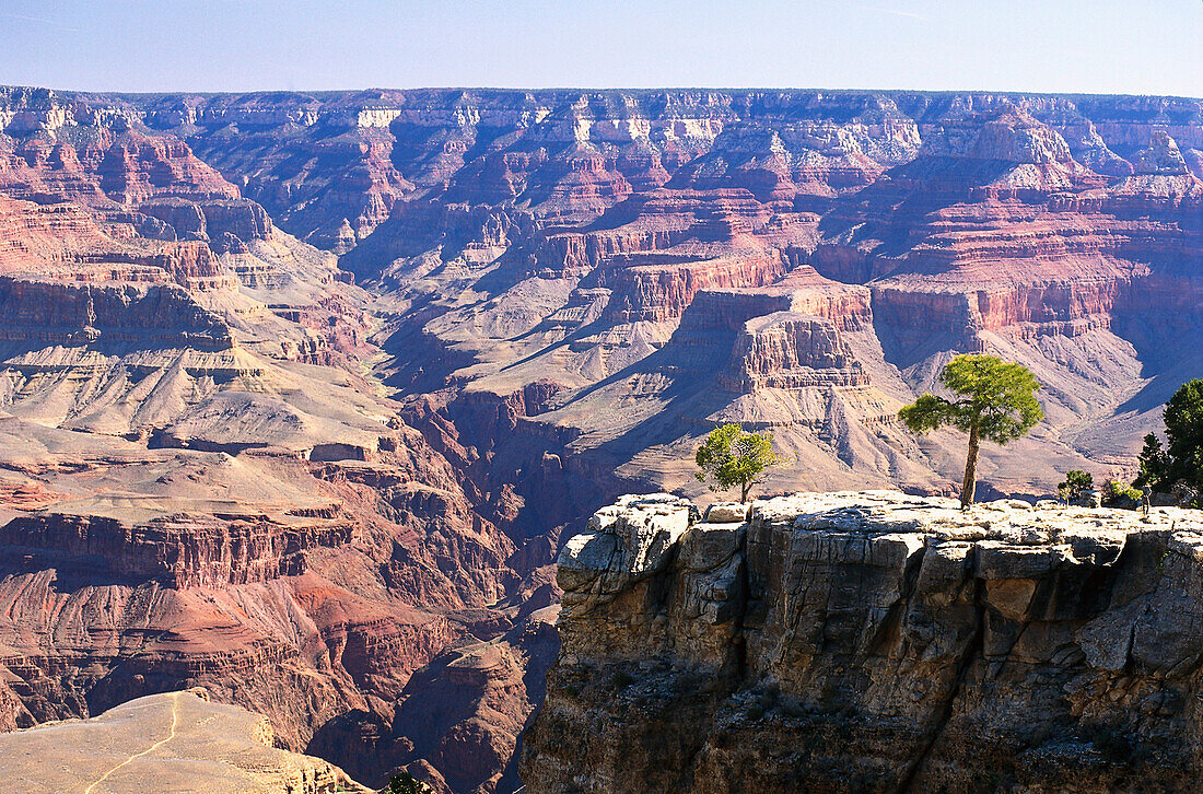 View over Grand Canyon, Grand Canyon National Park, Arizona, USA, Amerika
